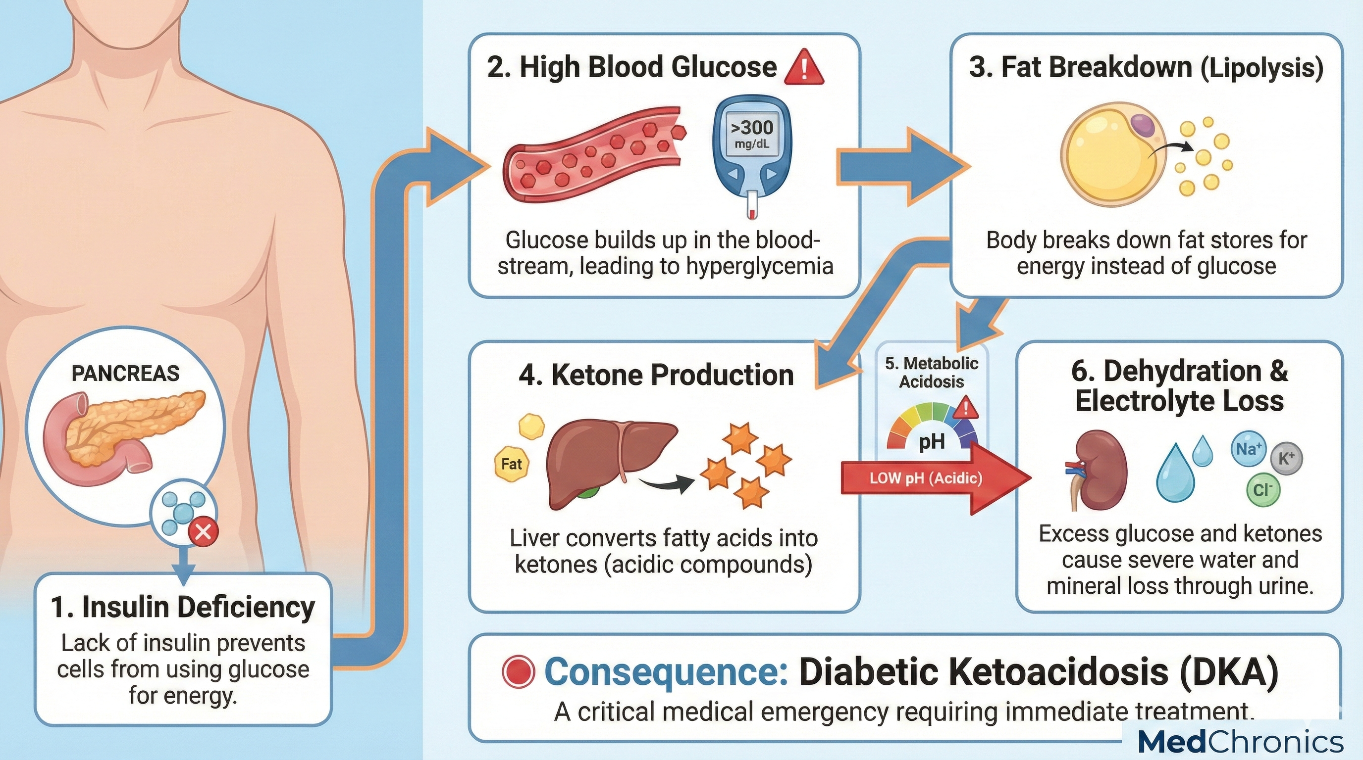 Pathophysiology of Diabetic Ketoacidosis (DKA)
